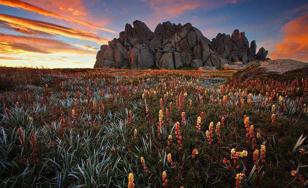 Kosciuszko National Park in new south wales hiking trail