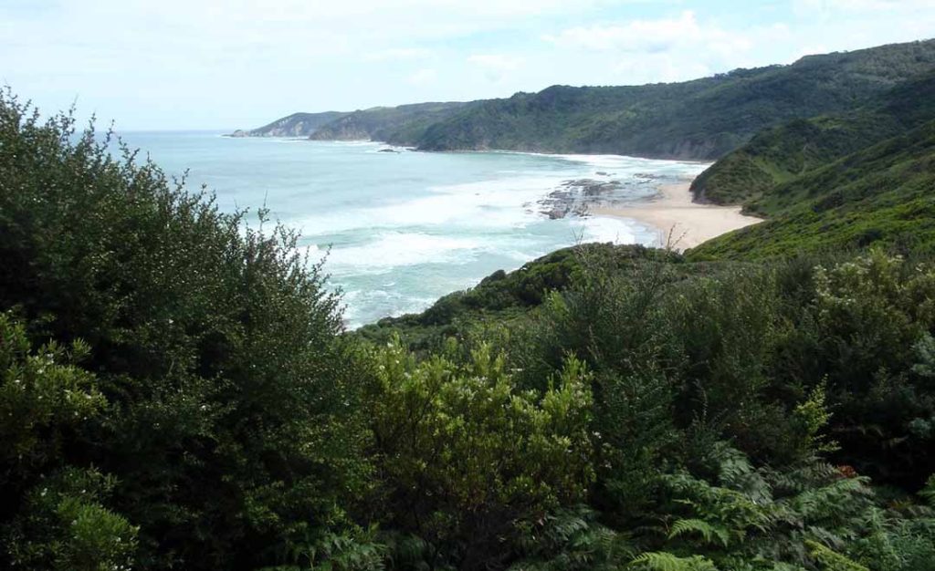 the great ocean walk trail in victoria