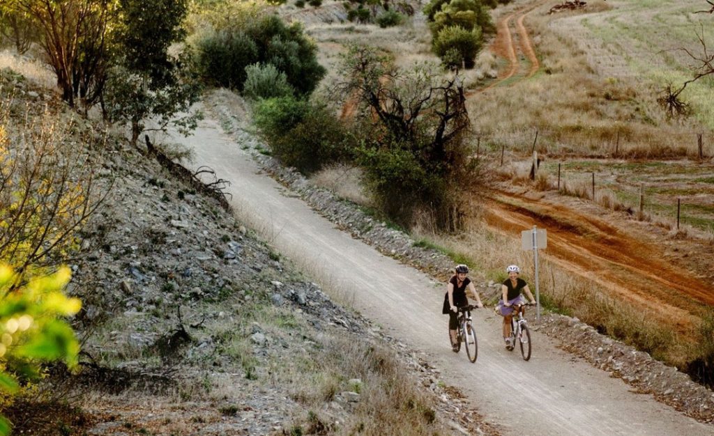 People riding bikes on The Riesling Trail, which stretches 35km between Auburn and Clare