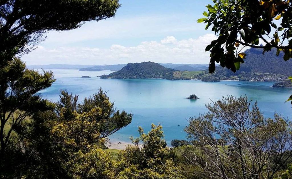 hiking The Te Whara Track, outside Whangarei,