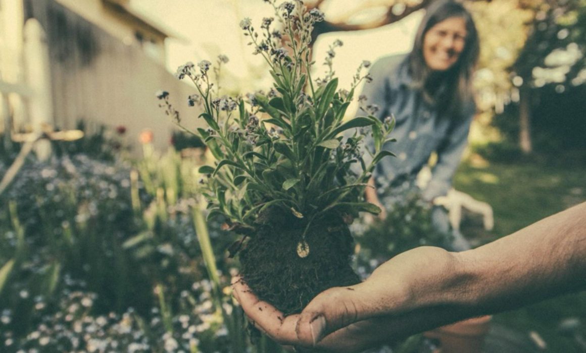 woman gardening in springtime on the gold coast